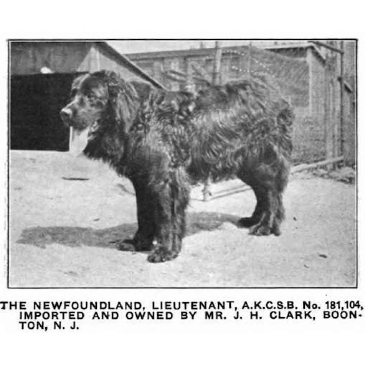 R Lieutenant (17-05-1913)